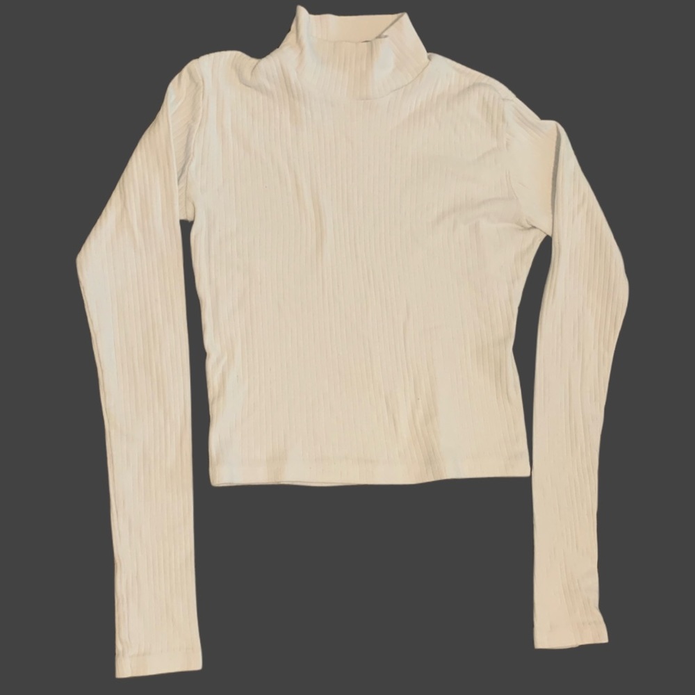 🦢(deadstock in US) brandy melville ribbed white daniela turtleneck top